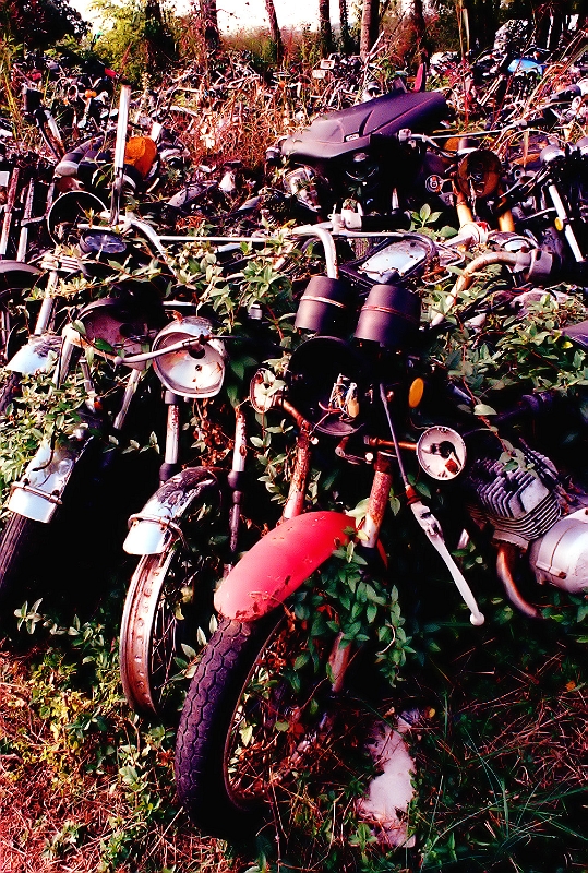 Harley Hell 2 � Dave Hickey